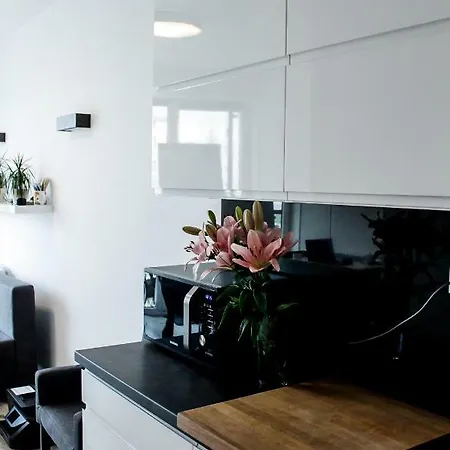 Modern Business Apartment Close To City Center Check In 24H Posen Exterior foto