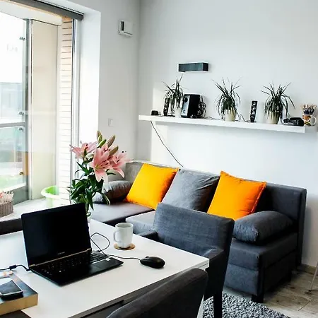 Modern Business Apartment Close To City Center Check In 24H Posen Exterior foto