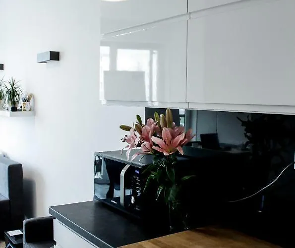 Modern Business Apartment Close To City Center Check In 24H